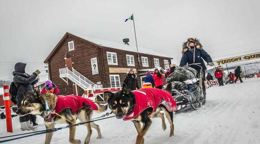 Kristin Knight Pace: Leaving Alaska